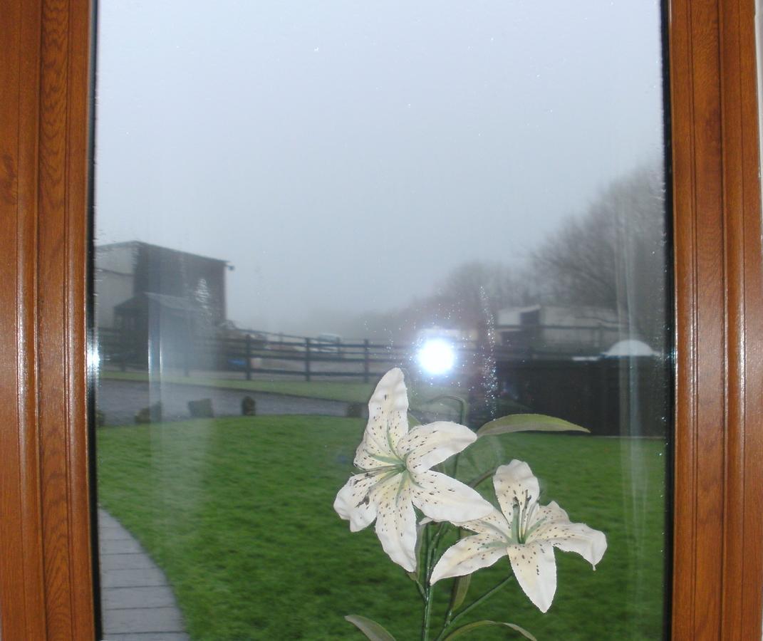 Bed and Breakfast Beudy Bach Cross Hands Экстерьер фото